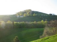 021 Balsthal - Farisberg - Beretenchopf - Langenbruck - Holderbank