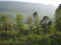 015 Balsthal - Höngen - Rauchlen - Grossieden - Unt. Tannmatt