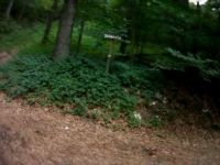 016 Balsthal - Brunnersberg (Scheidig) - DIDIWAY